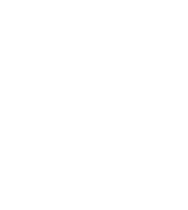 Block 31 Logo